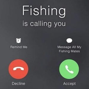 Meet your Posher, Bernice